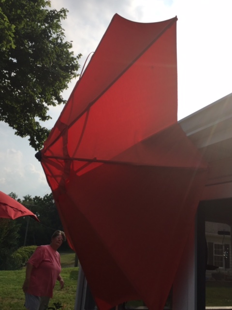 Regina's Umbrella