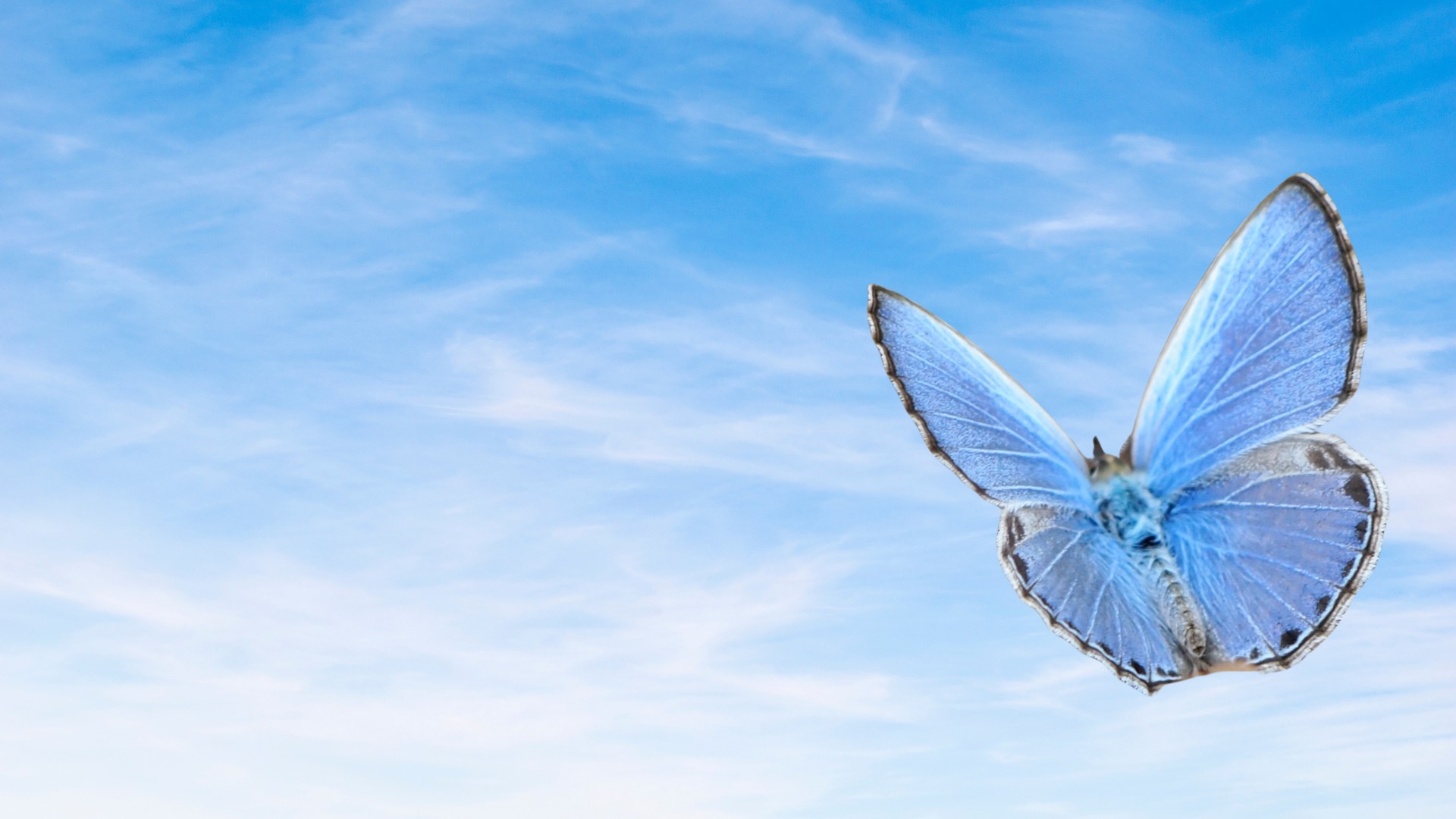 Turning Within and Renewing